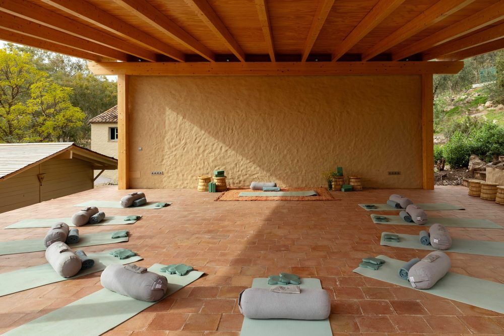 Minimal studio environment designed for focused movement practice